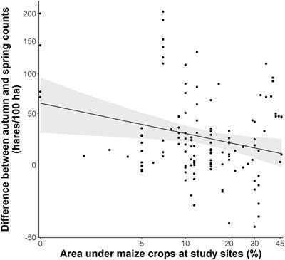 Maize monoculture causes niacin deficiency in free-living European brown hares and impairs local population development